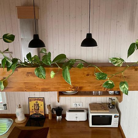 Acogedora Casa En Rinlo, En La Villa De Ribadeo Extérieur photo